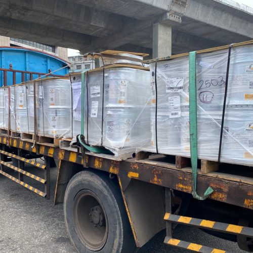 WhatsApp Image 2026-02-11 at 23.33.56