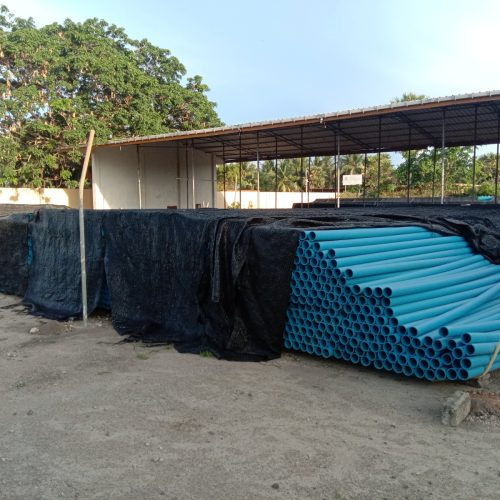 WhatsApp Image 2026-02-11 at 23.49.41