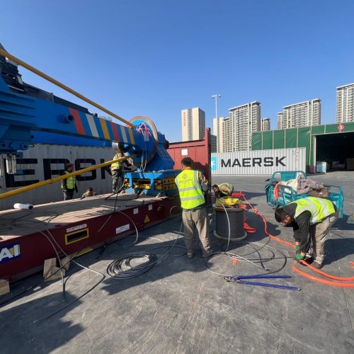 WhatsApp Image 2026-02-12 at 00.22.13